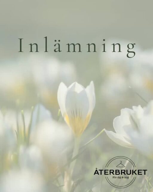 Från och med nu öppnar vi upp för VÅRINLÄMNING 🌱🌸

Vi tar emot dam- och barnkläder som är i gott skick, max 5 år gamla, trendiga och morderna efter säsong. Du lämnar in – vi sorterar, prismärker, stylar, frontar i butiken och visar upp dina plagg i våra sociala medier. När kläderna säljs får du din del av försäljningen, helt utan jobb. Det är hög efterfrågan på storlekarna 74/80, 110/116, byxor i alla barnstorlekar samt L/XL. 

Kika in vår hemsida för mer info, länk i bio.

Hos oss är det enkelt att ge dina kläder nytt liv. Du kan komma förbi butiken och lämna in när som helst under Birsta Citys öppettider – inga krångliga regler eller bokningar.

Plaggen hänger i butiken i två månader. Om de inte blir sålda skänks de vidare till välgörenhet (om inget annat avtalats vid inlämning). På så sätt får varje plagg en ny chans att användas och uppskattas.

♻️ Du bidrar till en mer hållbar konsumtion
💡 Vi gör det enkelt – du slipper allt jobb
👗 Hos oss hittar du trendiga och moderna kläder till bra priser

Låt dina kläder hitta nya ägare – och tjäna på det, enkelt och smidigt.